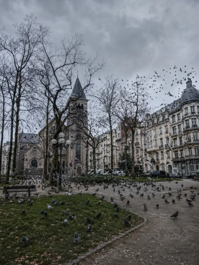 Genève, les oiseaux